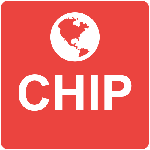 Icon Chip
